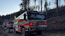 Po�ár lesa v Návsi likvidovalo devatenáct jednotek hasi��. Ohe� se kv�li...