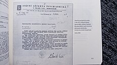 �eskoslovenská psychiatrie v soft-sov�tském stylu, publikace Miroslava Vodrá�ky.