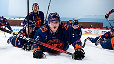 Radost hokejist� Litom��ic po postupu do semifinále první ligy p�es Vsetín....