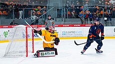 Miroslav Svoboda ze Vsetína inkasuje gól v prodlou�ení �tvrtého zápasu...