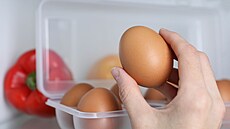 Skladování vajec v lednici