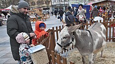 Pestrý program ka�doro�n� nabízí velikono�ní jarmark na ostravském Masarykov�...
