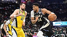 Janis Adetokunbo z Milwaukee Bucks úto�í v zápase s Indiana Pacers, Ivica Zubac...