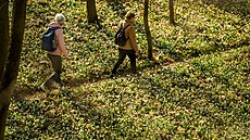 Rozkvetlý zámecký park v Kostelci nad Orlicí na Rychnovsku