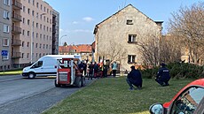 �elmy propadly státu. Ú�edníci spolu s veteriná�em a za asistence policie...