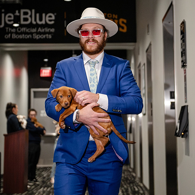 Půjčil mu oblek Elton John? David Pastrňák se štěnětem v náručí pobavil fanoušky