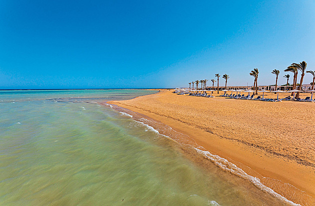 Z Káhiry do Prahy a zpět. Egypťan, který zasvětil život českým turistům