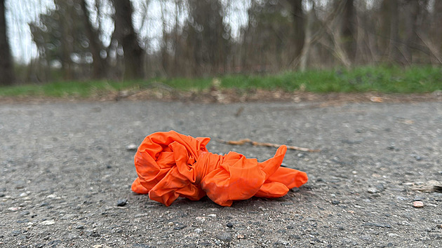 Soud rozhoduje o vazbě pro muže obviněného z vraždy nezletilé dívky