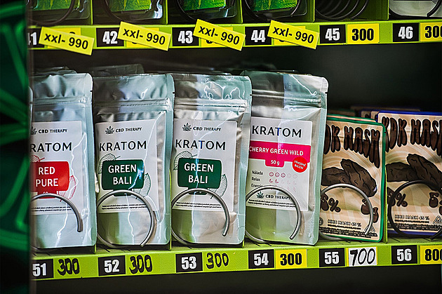 Zelená smrt. Kratom ovládl české školy, jen minulý rok zemřelo sedmnáct studentů Zelená smrt. Kratom ovládl české školy, jen minulý rok zemřelo sedmnáct studentů