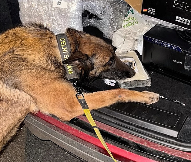 Kokain schovaný v chlebníku. Celníci na D8 náhodně zachytili kilogram drogy