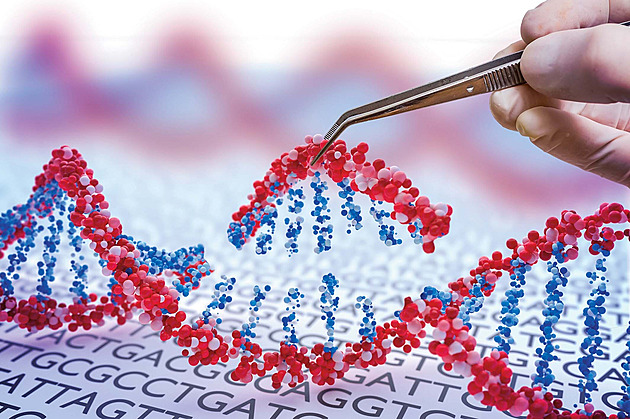 „Tohle děláme v Česku brutálně dobře.“ Vědkyně o křivolaké cestě za úspěchem