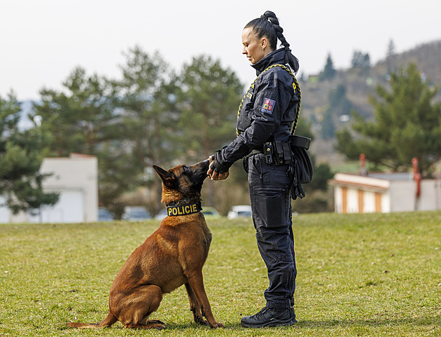 Patříme k sobě, jezdí s námi i na dovolenou, říká o psím šampionovi policistka