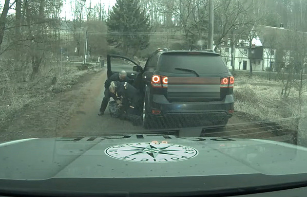 Do pron�sledov�n� se v Trhov�ch Svinech a okol� zapojilo hned n�kolik policejn�ch hl�dek.