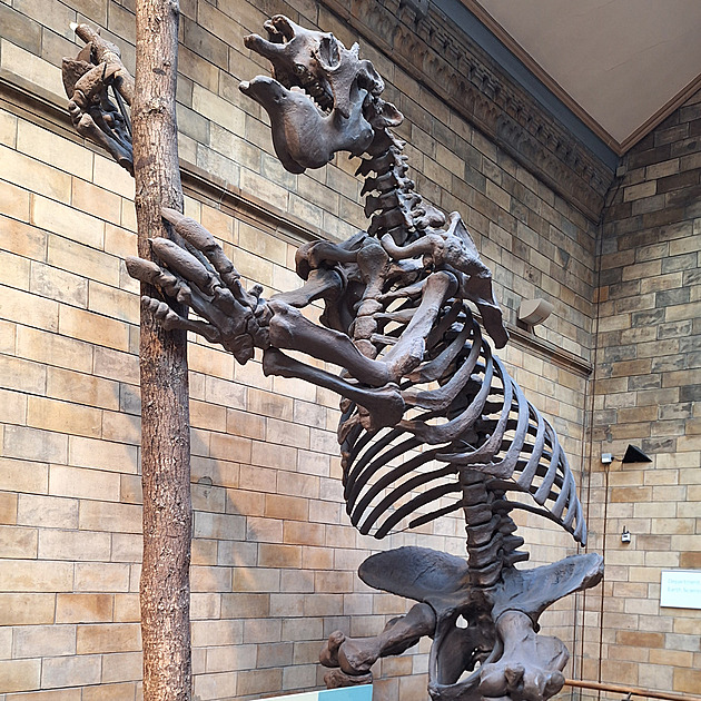 Muzea zdarma v ohrožení. Anglie zvažuje vstupné pro zahraniční návštěvníky