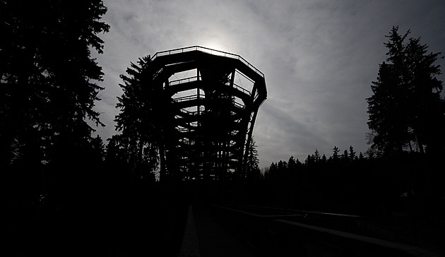 OBRAZEM: Medvědi do Krkonoš. Slovenský Michal s Alicí si už hrají ve výběhu