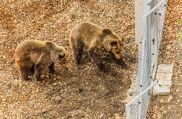 O post ředitele Krkonošského parku se uchází 13 lidí, čtyři z nich jsou ze správy