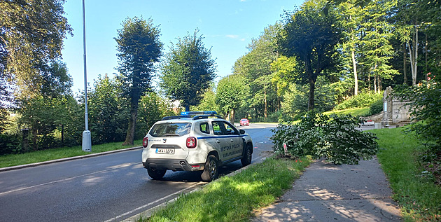 Aš při náboru neoslovuje policisty ze státní policie, momentálně má plno