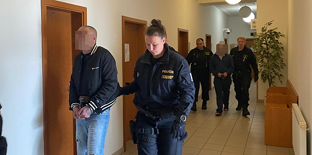 Znovu u soudu. Muže potrestaného za vraždu viní z útoku v léčebně kvůli drogám