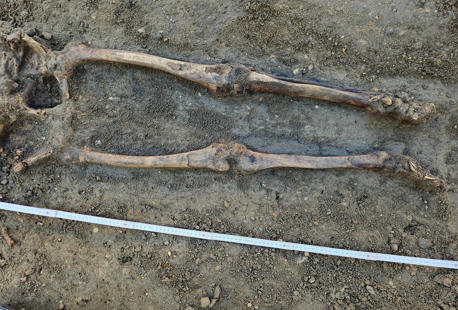 Desítky hrobů i základy fary. Náměstí v České Lípě ukrývalo pohřebiště