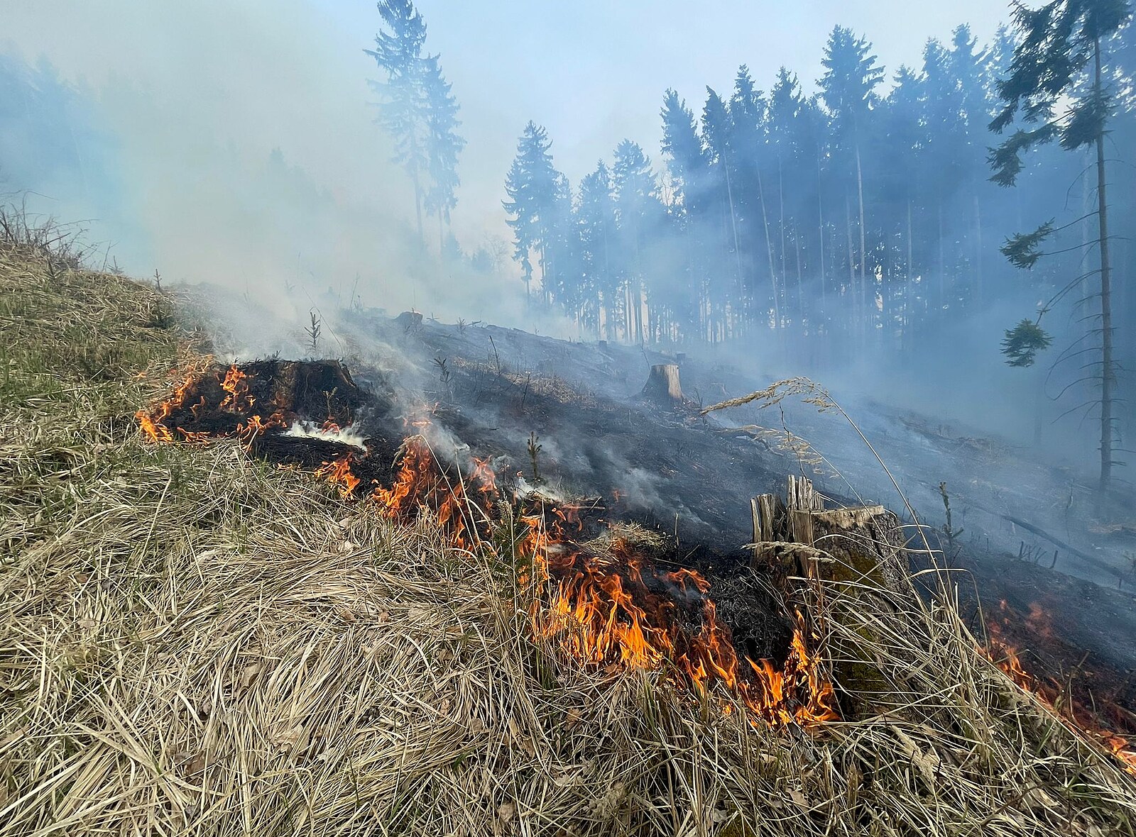 Ve Valtířově na Ústecku hořel v obtížném terénu les, oheň likvidoval i vrtulník