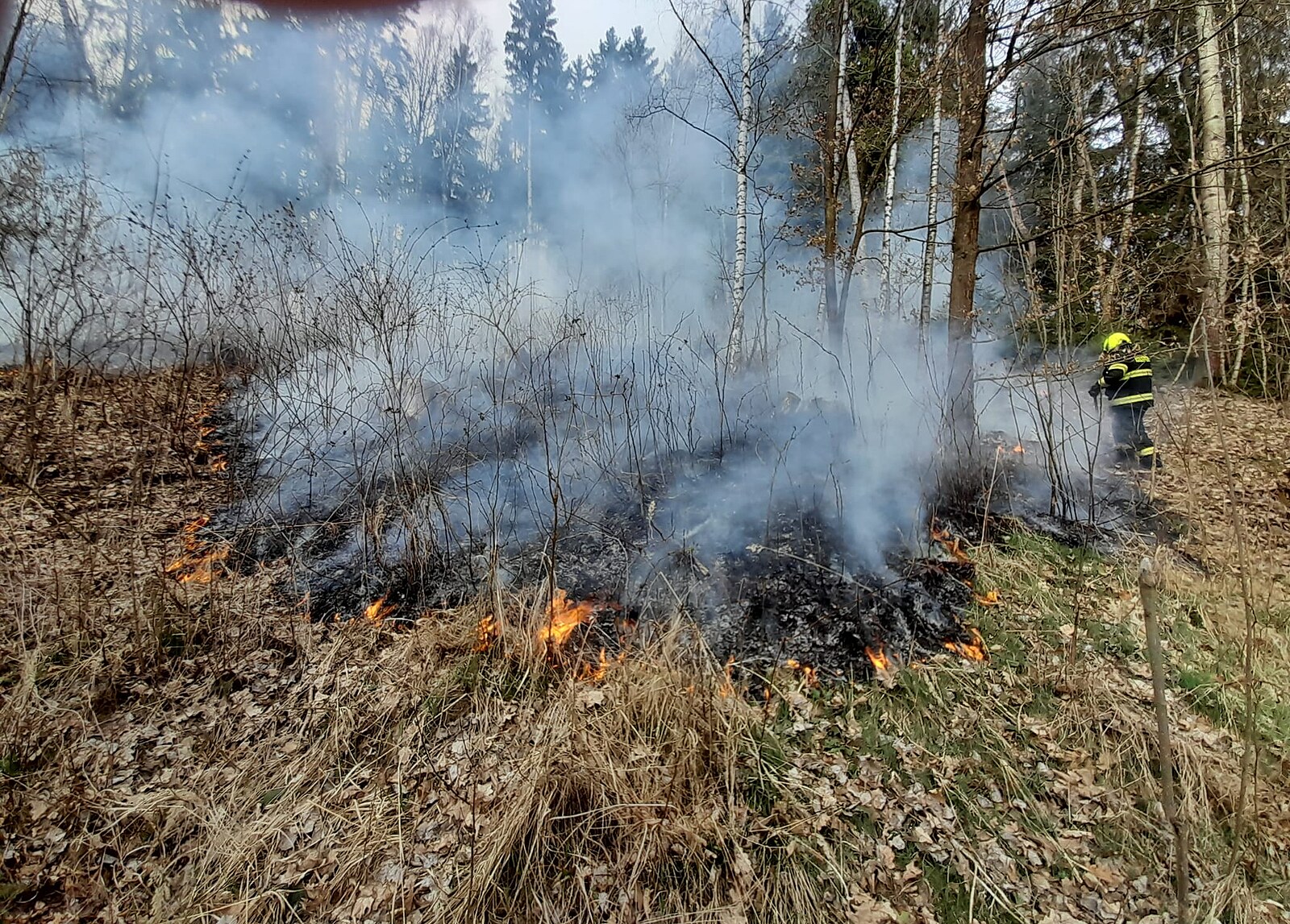 Na Žďársku hoří les. Platí druhý stupeň poplachu