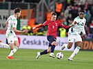 Vladimír Darida utíká dvojici Ir�.