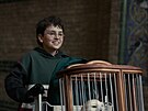 Dominic McLaughlin v seriálu Harry Potter a Kámen mudrc� (2026)