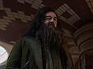 Nick Frost v seriálu Harry Potter a Kámen mudrc� (2026)
