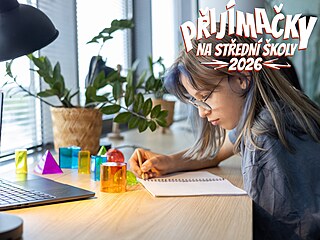 ilustra�ní snímek