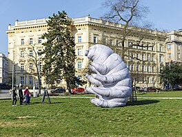 Festival oslavující techniku elektronové mikroskopie na Moravském nám�stí v...