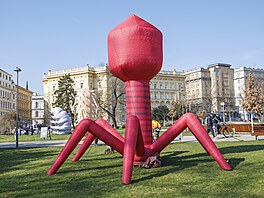 Festival oslavující techniku elektronové mikroskopie na Moravském nám�stí v...