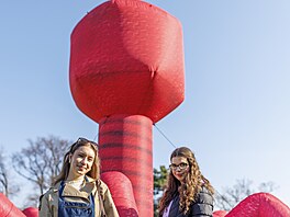 Festival oslavující techniku elektronové mikroskopie na Moravském nám�stí v...