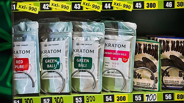 Neurologové M�stské nemocnice Ostrava varují, �e u�ívání kratomu m��e zvy�ovat...