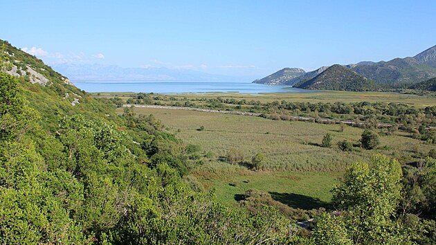 Skadarsk� jezero se z�d�li podob� mo�i. Tam, kde pr��t� podzemn� prameny, b�v� jeho voda pr�zra�n� a m�sty i pitn�.