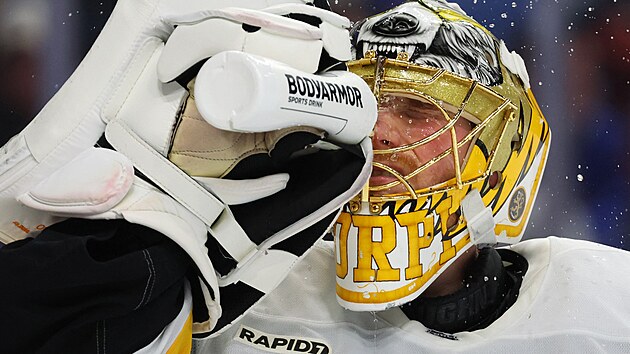 Joonas Korpisalo v br�n� Boston Bruins