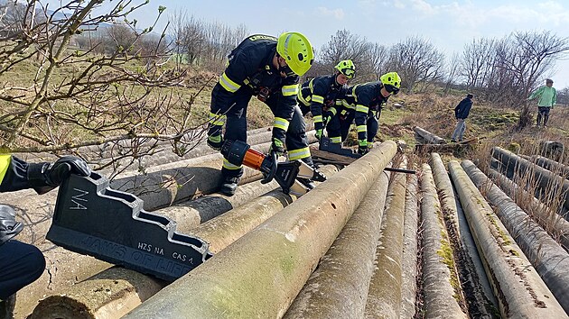 Fena jezev��ka uv�zla v �onov� u Nov�ho M�sta nad Metuj� pod betonov�mi sloupy, pomohli hasi�i. (19. b�ezna 2026)