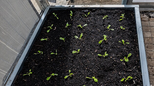 Modern� sklen�k ve st�edn� zem�d�lsk� �kole v Kostelci nad Orlic� (20. b�ezna 2026)