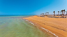 Kamal El Balshy