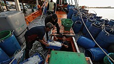 R�st cen pohonných hmot ochromil rybá�e v thajské provincii Samut Sakhon. (25....