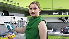 Hana Polá�ek-Sedlá�ková v Brn�