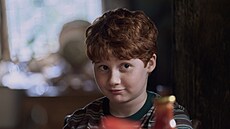 Alastair Stout jako Ron Weasley v seriálu Harry Potter a Kámen mudrc�