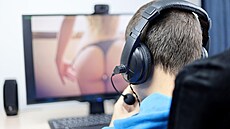 Ilustra�ní snímek