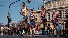 B�ci zaplnili centrum hlavního m�sta, v Praze se konal p�lmaraton.