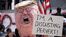 Ameri�ané protestují proti prezidentovi Donaldu Trumpovi. Snímek pochází z Los...
