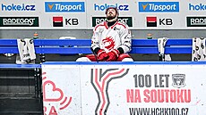 T�inecký Richard Nedomlel b�hem utkání s Hradcem.