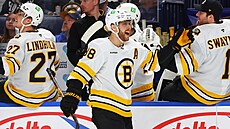 David Pastr�ák (88) z Boston Bruins slaví v zápase s Buffalo Sabres.