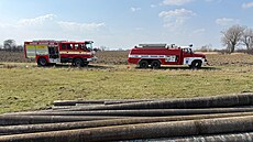 Fena jezev�íka uvázla v �onov� u Nového M�sta nad Metují pod betonovými sloupy,...