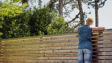 Ve va�í situaci bych rozhodn� nez�stával jen u ústní domluvy. Máte právo chtít,...