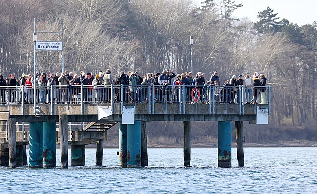 Velryba u Německa znovu uvízla. Záchrana se nedaří, zvíře bojuje o život