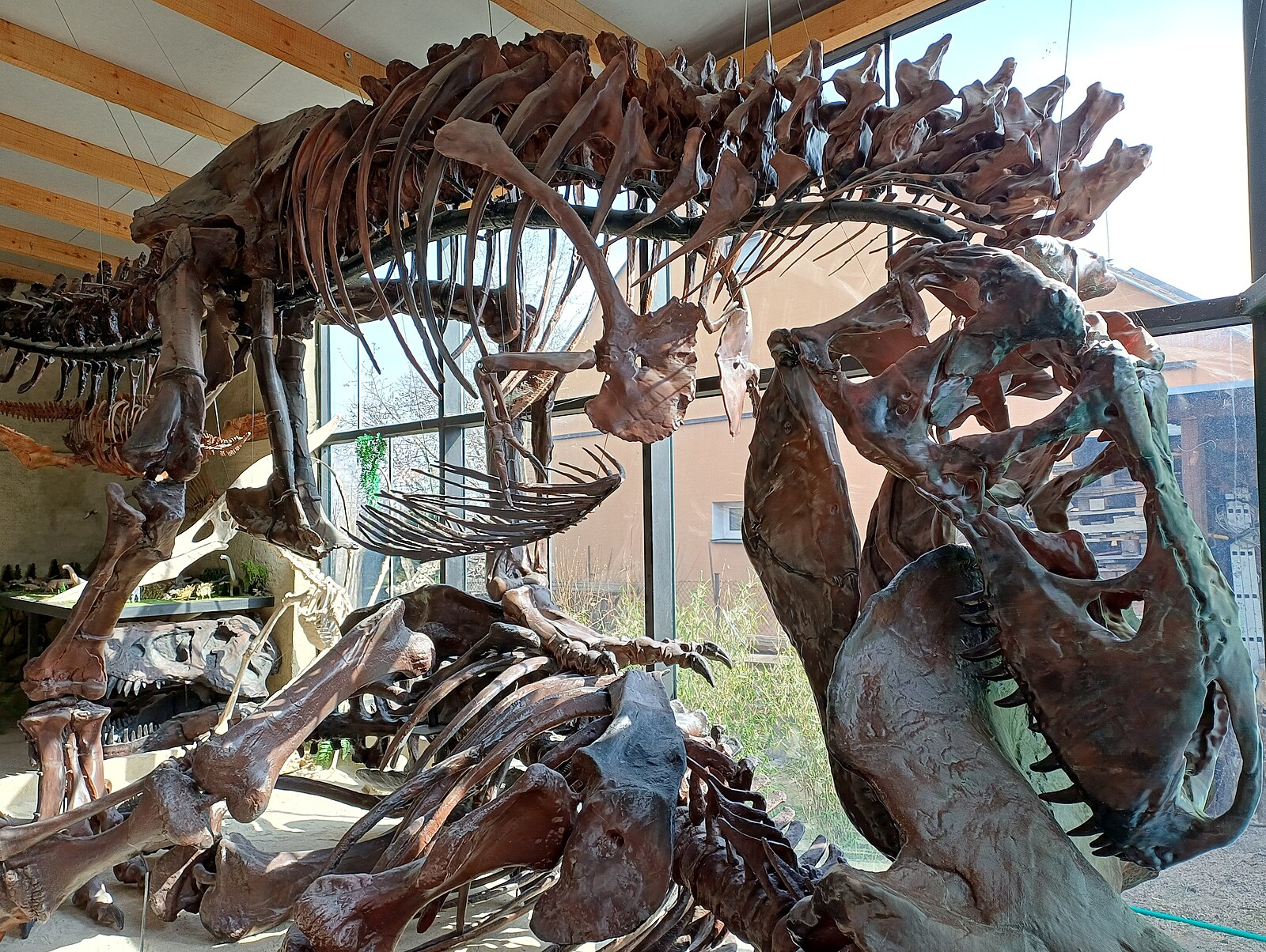 Unikátní kostry dinosaurů z 3D tiskárny. Nadšenec je ukazuje v domácím muzeu